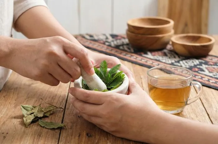Cara Mengolah Daun Putri Malu untuk Obat, Praktis!