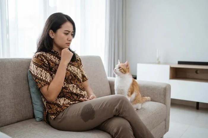 Dikencingi Kucing Pertanda Apa? Bukan Mitos, Ini Alasannya