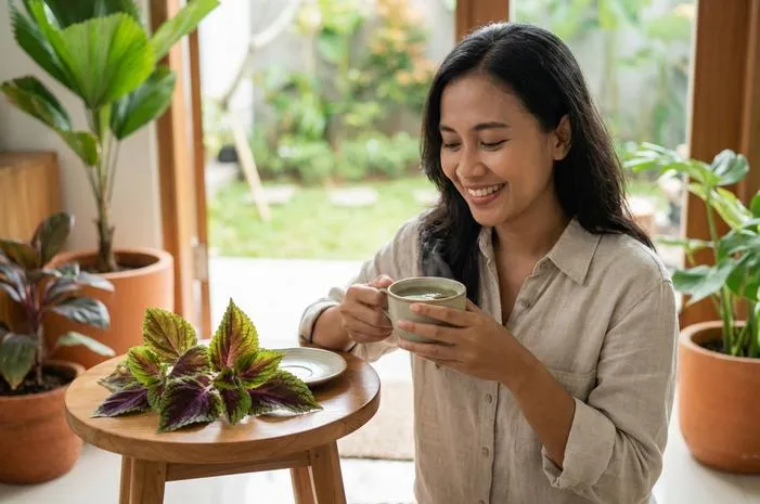 Daun Miyana: Warna Memukau, Khasiatnya Bikin Terpukau