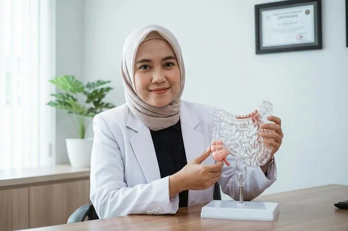Apa Fungsi Usus Buntu? Tak Hanya Organ Sisa!