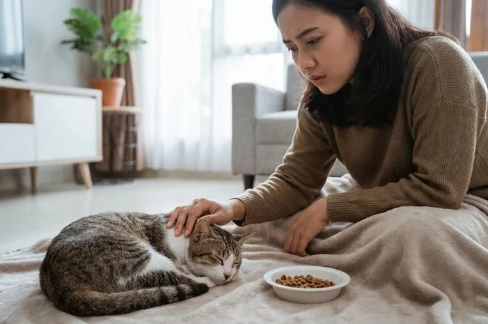 Kucing Lemas Tak Mau Makan, Tidur Terus? Solusinya Ada!