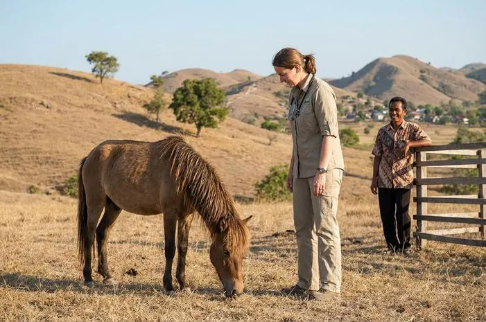 Pesona Kuda Liar Sumbawa: Dari Pacuan hingga Susu
