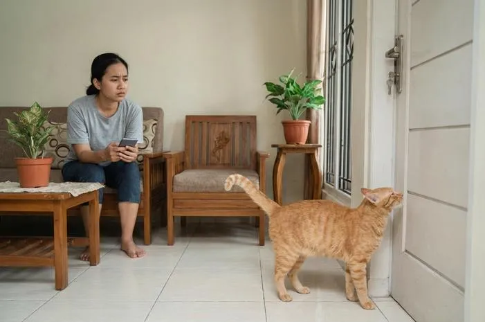 Ciri Kucing Jantan Birahi: Ketahui 7 Tanda Utamanya.