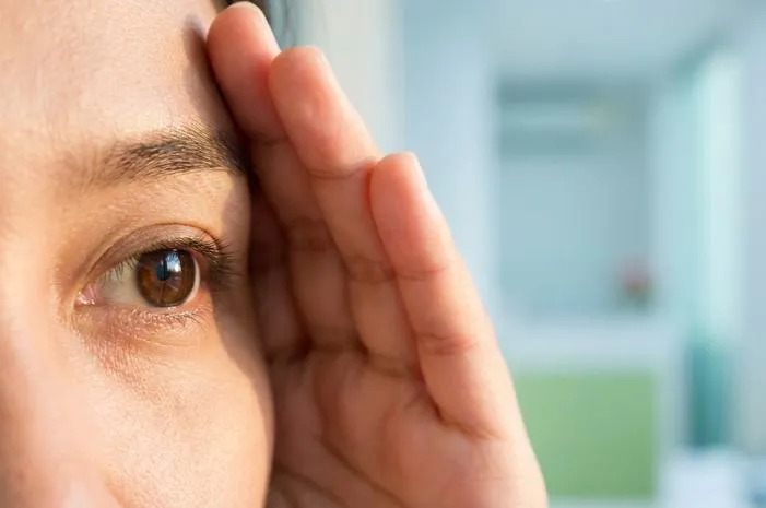 Fungsi Iris Mata: Pengatur Cahaya dan Pemberi Warna Unik