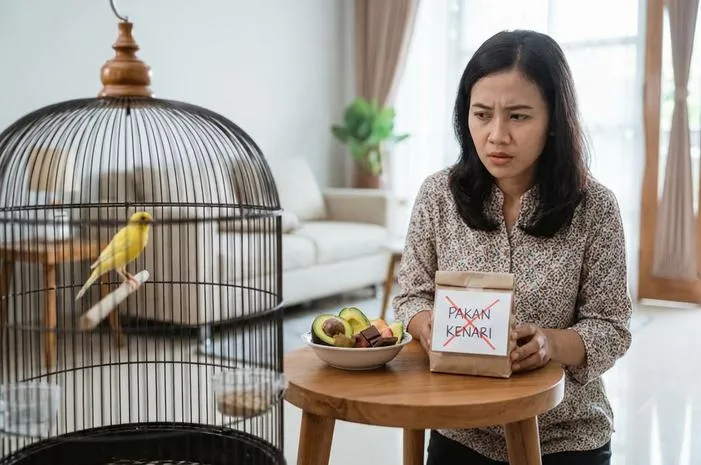 Pakan Kenari Dilarang: Jangan Sampai Bikin Sakit!