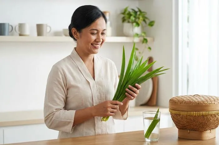 Daun Pandan Wangi: Wangi Masakan, Sehatkan Badan, Usir Tikus