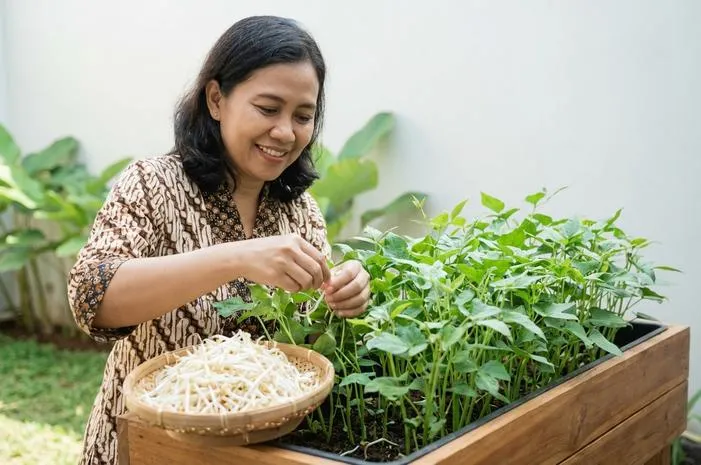 Pohon Tauge: Si Kecil Kaya Manfaat