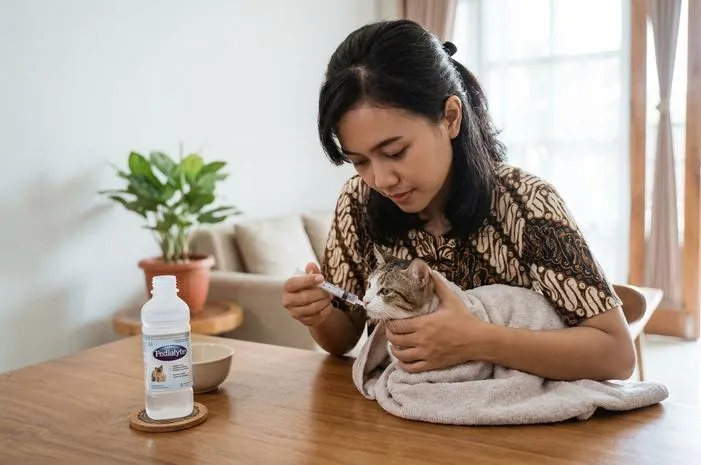 Pedialyte untuk Kucing: Aman Atau Bahaya?