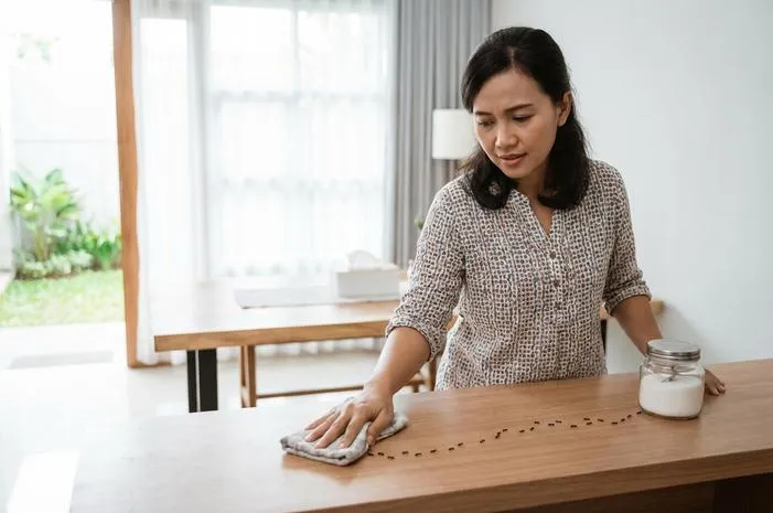 Rumah Banyak Semut Hitam: Penyebab, Pertanda, Cara Usir