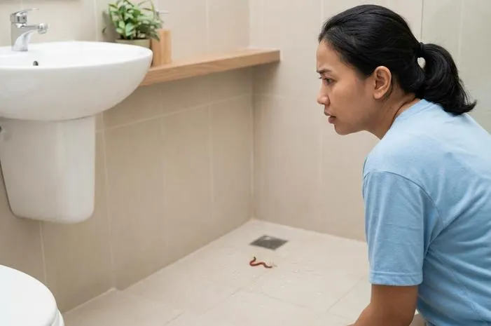 Muncul Cacing Merah Kecil di Kamar Mandi? Atasi Segera!