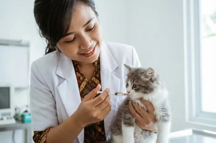 Obat Cacing Anak Kucing: Pilihan Aman dan Ampuh