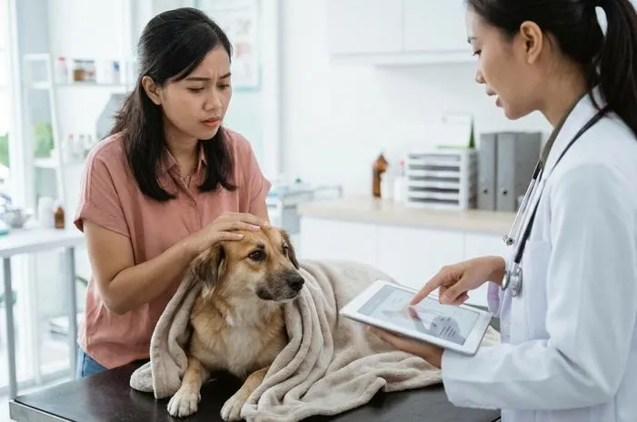 Distemper pada Anjing: Kenali dan Lindungi Anabulmu!