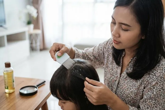 Bentuk Telur Kutu: Oval Mirip Nasi, Gampang Dikenali!