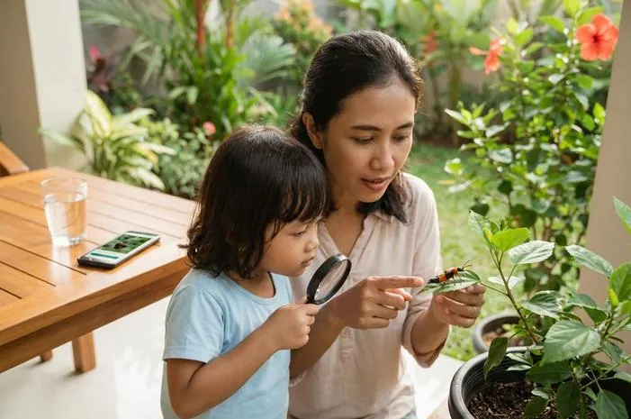 Apakah Tomcat Bisa Terbang? Simak Gaya Uniknya!
