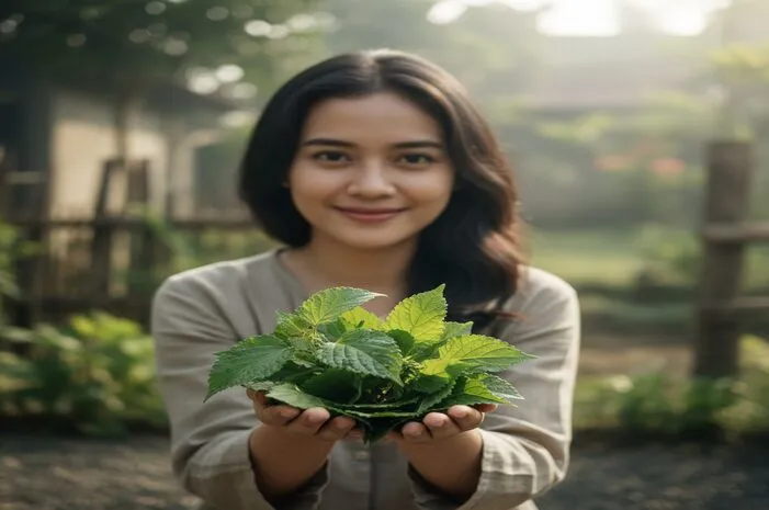 Gampang! Ciri-ciri Daun Pecah Beling Ini