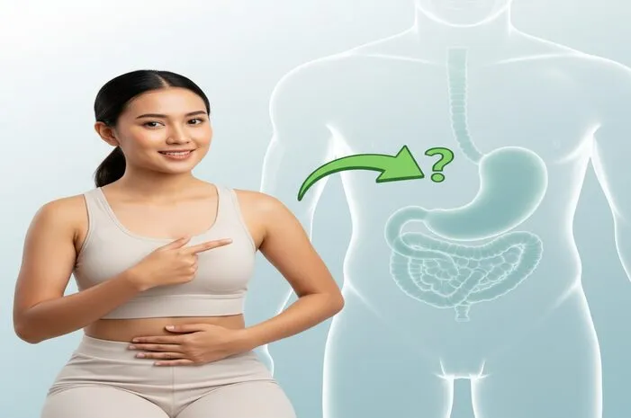 Lambung di Kanan atau Kiri Perut? Yuk Cek Faktanya!