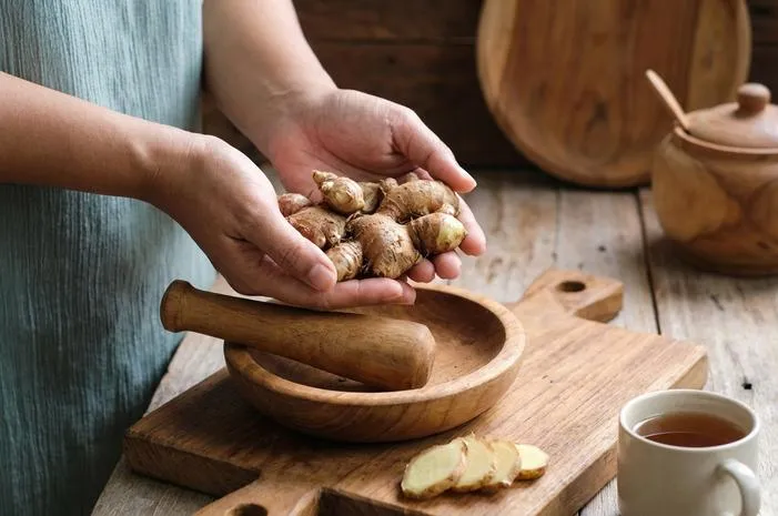 Rimpang Kencur: Obat Batuk Alami dan Bumbu Masak Lezat