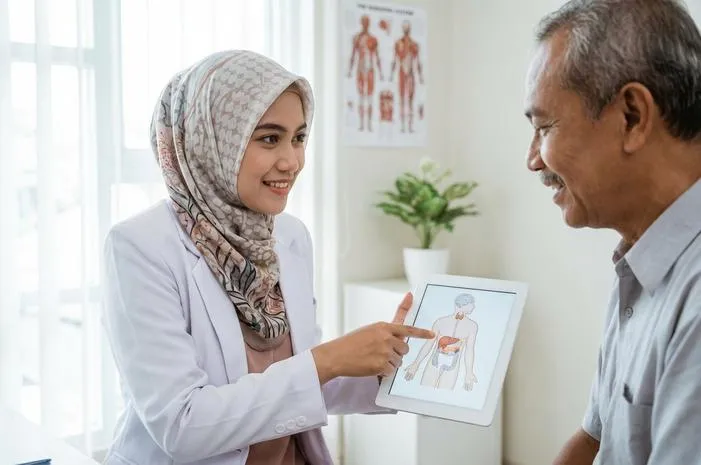 Kupas Tuntas Anatomi Endokrin: Kelenjar Hormon Tubuh