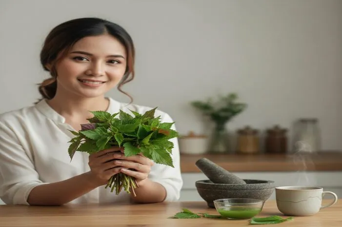 Khasiat Daun Dewa: Jaga Sirkulasi Darah, Turunkan Tensi