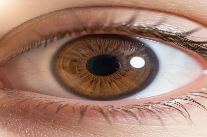Yuk Pahami Bagian Bagian Bola Mata Kita