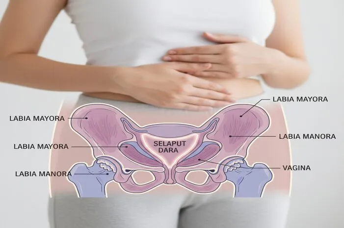 Selaput Dara Letaknya Dimana? Ini Jawabannya!