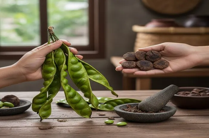 Beda Petai dengan Kedawung: Aroma Khas vs Herbal