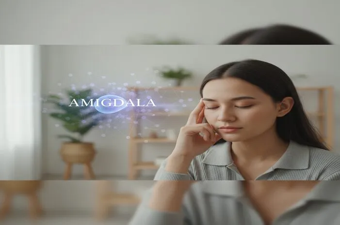 Ketahui Amigdala Artinya: Otak Emosi Pengatur Rasa Takut